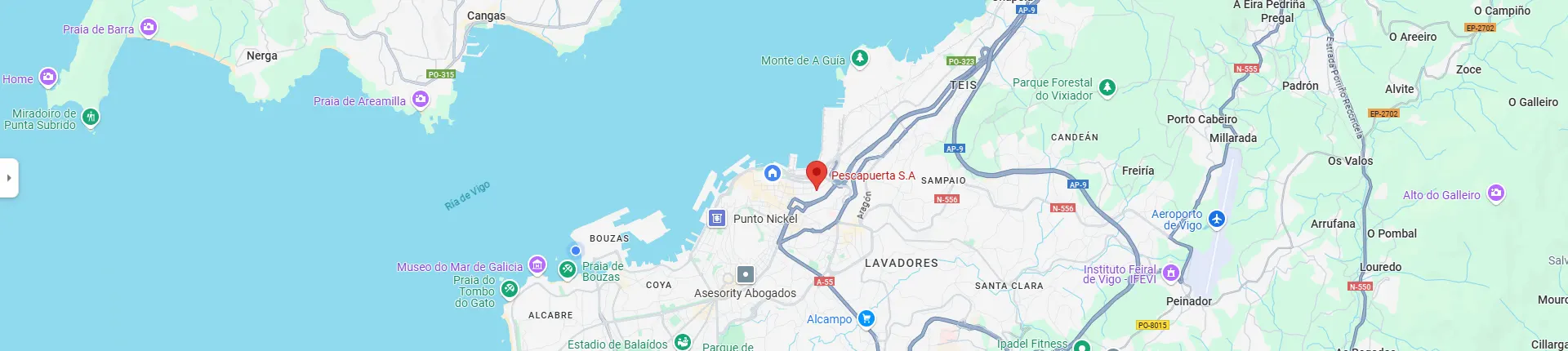 Ir a Google Maps